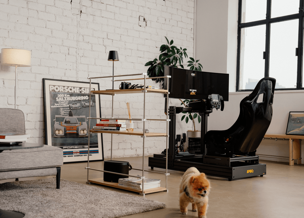 A SPEC 282 in a living room with a white brick wall and a tall window, a small dog walking past